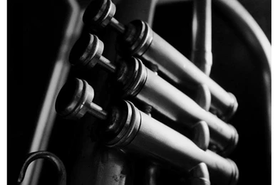 Top Trumpet Bucket Images For Pinterest