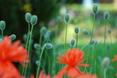 Best First Episodehave Seen Inwhile Wallpapers   (