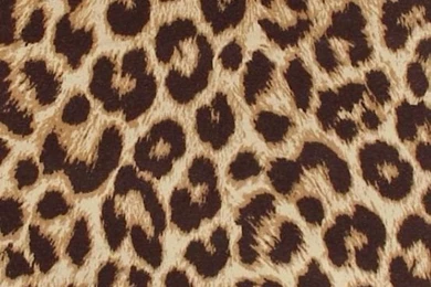 Leopard iPhone Wallpaper! Just Click On The Button In The Top ...