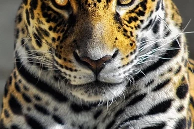 World Business Zone   Low Cost Shopping, International Business ...