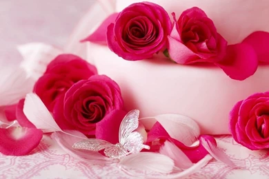 Flowers, Flower, Flower Wallpaper, Flowers Pictures, Flower Photos ...