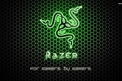 Razer   For Gamers. By Gamers. Wallpapers   Computer Wallpapers ...