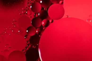 Catchy Colors: The Red Selection