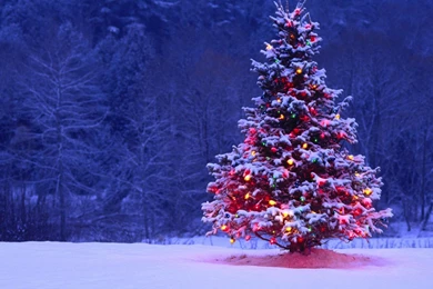 Christmas Snow Widescreen HD Wallpapers 180 HD Wallpapers Site
