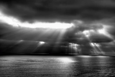 Roger Federer Desktop Wallpapers 5.jpg