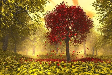 HD, 3D, Creative, Desktop, Wallpaper,image