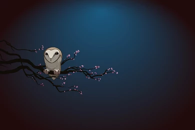 The Drawn Owl Wallpapers And Images   Wallpapers, Pictures, Photos