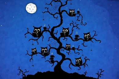 Top Spring Owl Wallpaper Images For Pinterest