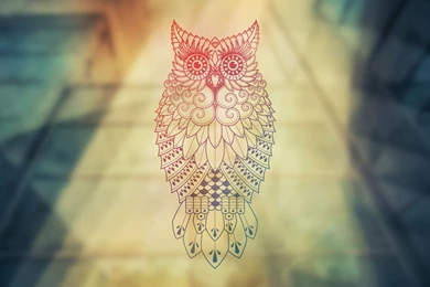 Top Talent Show Background Images For Pinterest