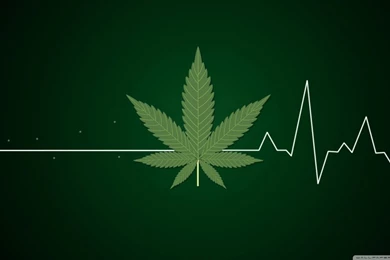 Green Peace HD Desktop Wallpapers : High Definition