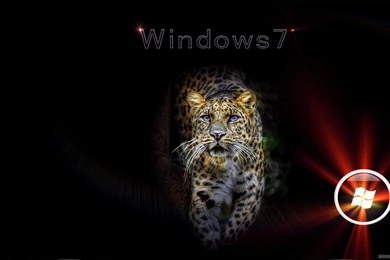 TM.Wallpapers Wide Wallpapers E HD Wallpapers   Windows 7 ...