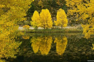 Free Wallpapers   Free Nature Wallpapers   HD Landscape 5 Wallpapers ...