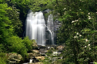 Free Wallpapers   Free Nature Wallpapers   HD Landscape 4 Wallpapers ...