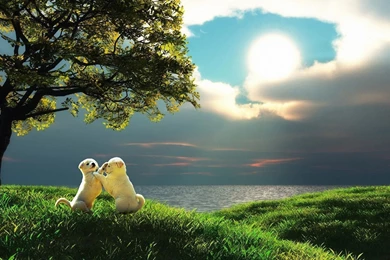 Download Wallpapers 1920x1200 Puppy, Couple, Sunset, Nature, Play ...
