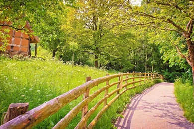 Top Green Nature Through A Images For Pinterest