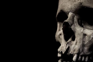 Skull Computer Wallpapers, Desktop Backgrounds