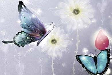 Butterfly Wallpapers For Iphone B53