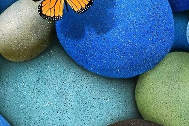 Butterfly iPhone 5s Wallpapers