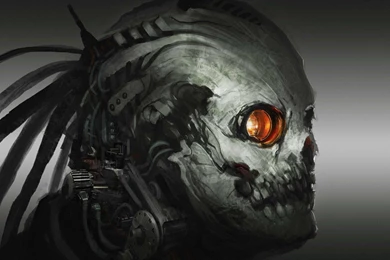 Cyborg Skull Wallpapers   Digital Art Wallpapers