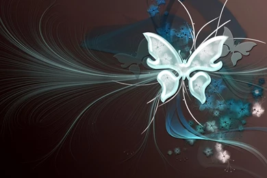 Top Butterfly Desktop Background Images For Pinterest