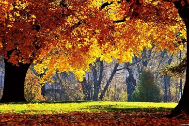 Nature Hd Wallpapers 1366×768 « Desktop Hd Backgrounds