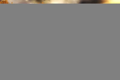 Nature Wallpapers   Autumn, Sienna, Antiquewhite