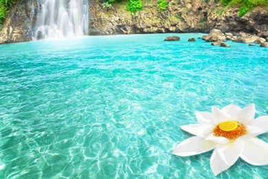 1366x768 Waterfall Lotus Dream Wallpapers