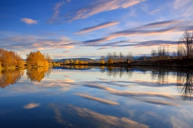 Best Screen Savers Downloads   Home