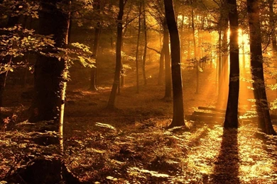 Full Hd Wallpapers 1366×768 – New Blog