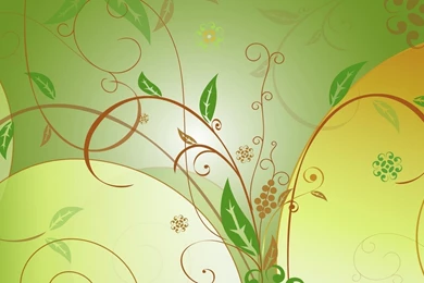 Download Wallpapers 1920x1080 Pattern, Leaves, Vector, Line ...