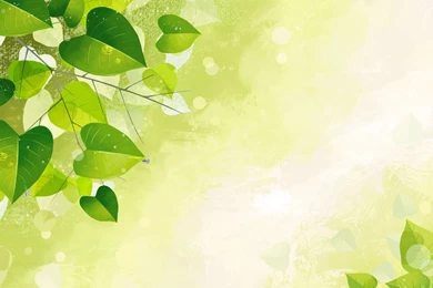 3D Vector Desktop Wallpapers   , New Wallpapers, New Wallpapers