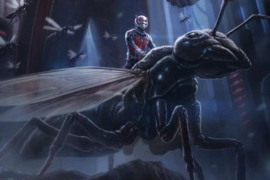 Ant Man Artwork Wallpapers