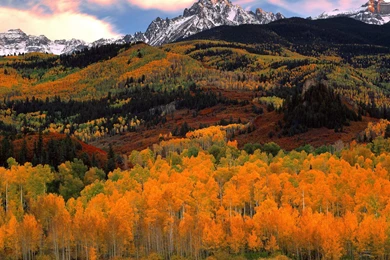 Nature Backgrounds For Mac