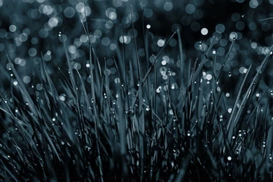 Of Mac Desktop Hd Wallpapers Of Nature Desktop Wallpapers Mac ...