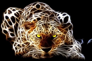 Tiger Wallpapers 1280x800