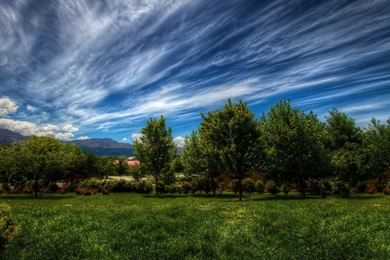 18797) Mac Nature Desktop Wallpapers   WalOps.com