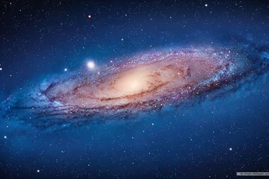 Free Wallpapers   Free Nature Wallpapers   Mac OS X The Lion Apple ...