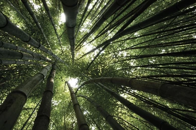 Photography HD Desktop Wallpapers   Zibrato