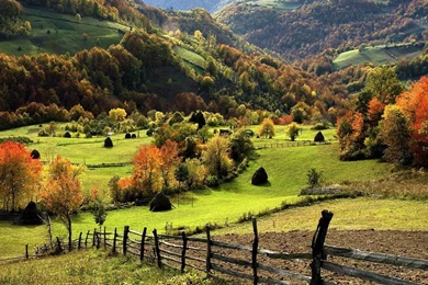 Beautiful fields in nature hd wallpapers   Backgrounds Wallpapers ...