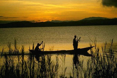 Morning Fishing   HD Wallpapers