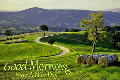 Best good morning wallpapers images nature free download.jpg