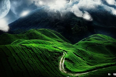 Top Green Nature Wallpapers Hd Images For Pinterest
