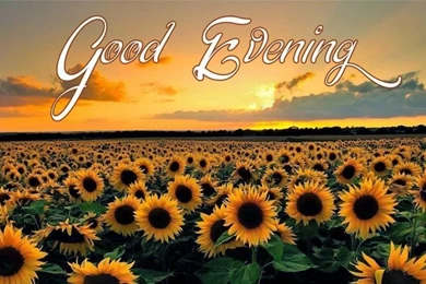 Good Evening Unique Wallpaper 2 1024x541.jpg