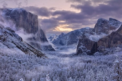 HDscreen: California Sierra Yosemite National Park Dawn Mist ...