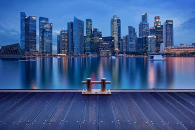 Bridge, City Lights, Night, River, Shanghai, Photography, Desktop