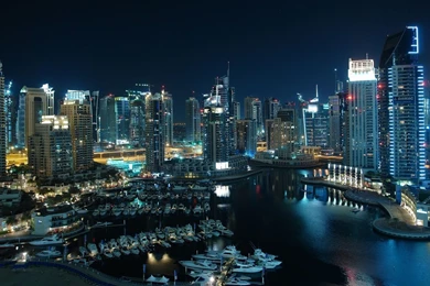 Dubai Skyline