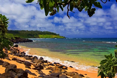 Beach Shade Hawaii 1920x1080 1080p Hd Wallpapers   Desktop ...