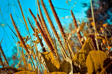 Nature Wallpapers, High Quality Images, Amazing Views, Cool ...