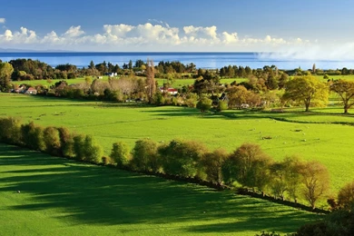 Nature Wallpapers: Hd Wallpapers 1080p Of Cars