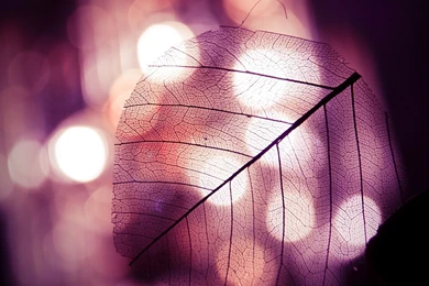 HD Wallpapers Source   Page 404 Of 489   100% Quality HD Desktop ...